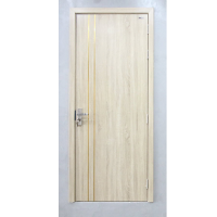 Cửa Composite DW203 M16
